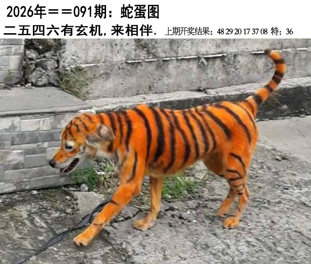 091期另版蛇蛋图[图]