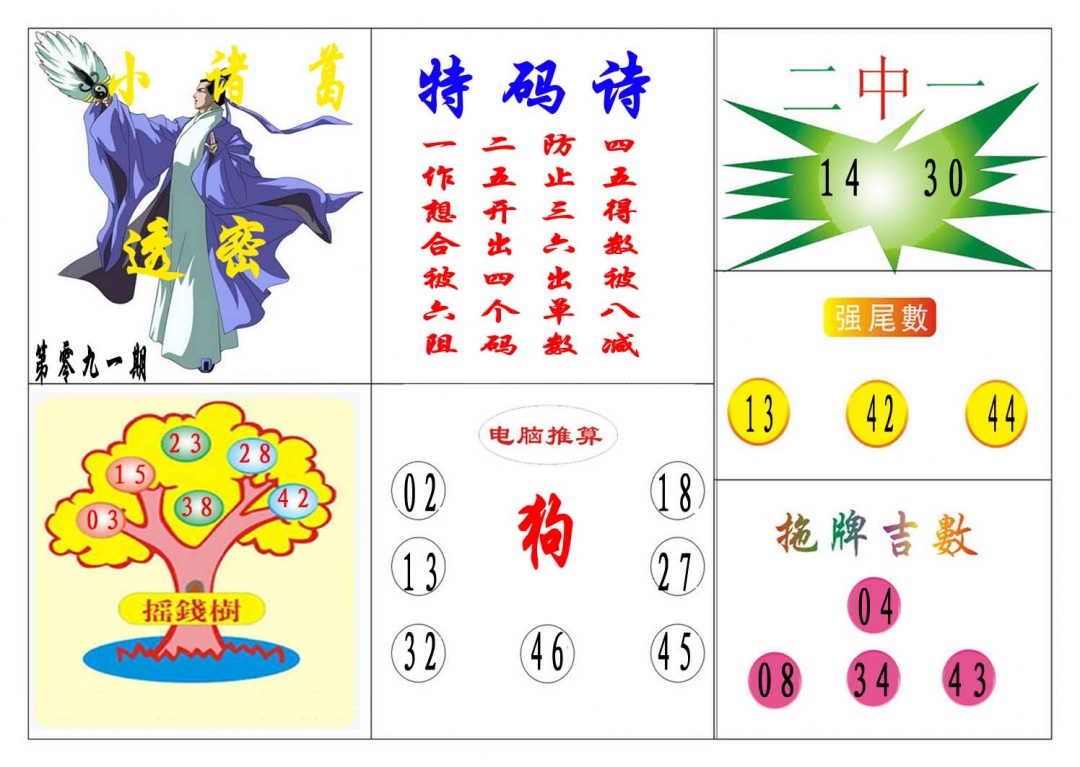 091期小诸葛[图]